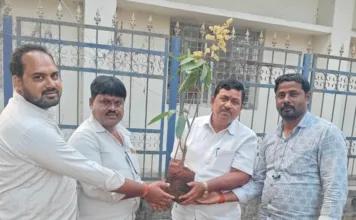 లోధా సబ్ స్టేషన్ ఆవరణలో మొక్కలు నాటిన విద్యుత్ సిబ్బంది