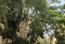 రూ.200 కోట్లతో చేసిన అభివృద్ధి ఎక్కడ: పల్లె మురళి