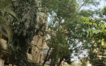 రూ.200 కోట్లతో చేసిన అభివృద్ధి ఎక్కడ: పల్లె మురళి