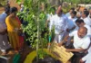 ప్రపంచ పర్యావరణ దినోత్సవం: నల్లగండ్లలో మొక్కలు నాటిన ఆరెకపూడి గాంధీ..