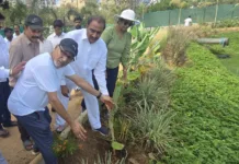 ప్రపంచ పర్యావరణ దినోత్సవం: మసీదుబండ చెరువు వద్ద మొక్కలు నాటిన ఆరెకపూడి గాంధీ