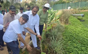 ప్రపంచ పర్యావరణ దినోత్సవం: మసీదుబండ చెరువు వద్ద మొక్కలు నాటిన ఆరెకపూడి గాంధీ