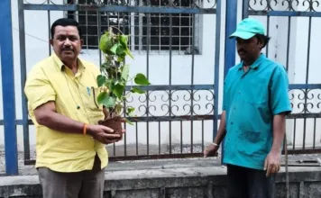 తొలి ఏకాదశి సందర్భంగా తమలపాకు మొక్క నాటిన వెంకటేశ్వర్లు