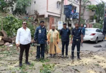 హుడా కాలనీలో రోడ్డుపై కూలిన భారీ చెట్టు.. వెంటనే తొలగించాలని బీజేపీ విజ్ఞప్తి