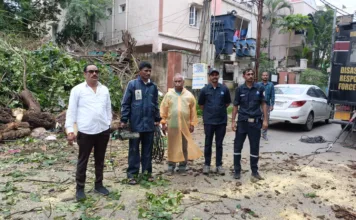 హుడా కాలనీలో రోడ్డుపై కూలిన భారీ చెట్టు.. వెంటనే తొలగించాలని బీజేపీ విజ్ఞప్తి