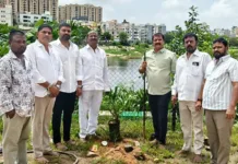 హఫీజ్పేట్ చెరువు కట్టపై ఈత మొక్కలు.. పర్యావరణ పరిరక్షణకు గౌడ్ సంఘం ముందడుగు