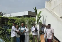 ముత్యాలమ్మ బోనాల సందర్భంగా రాజోలు ఆలయంలో మొక్కల నాటకం