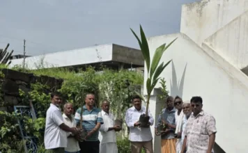 ముత్యాలమ్మ బోనాల సందర్భంగా రాజోలు ఆలయంలో మొక్కల నాటకం