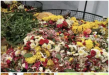 పర్యావరణం పై CMC ప్రత్యేక శ్రద్ధ… నిమజ్జనం పూల వ్యర్ధాలతో అగరబత్తీ, ధూపం, దీపాల తయారీ..